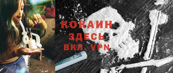 трава Няндома