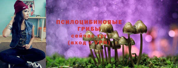 PSILOCYBIN Вязьма