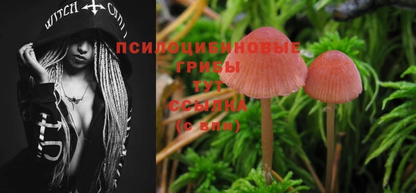 кокс Майский